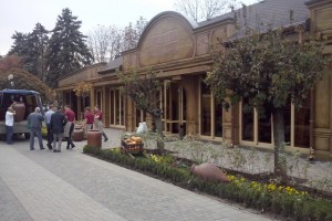 Понимание свободы личности в контексте авторитарного государства